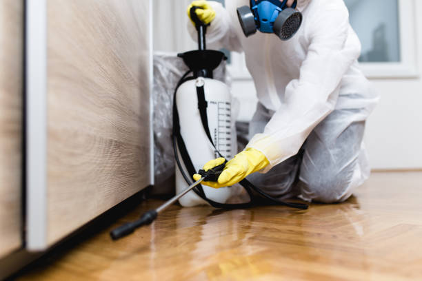  Buena Vista, GA Pest Control Pros