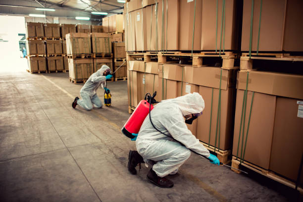 Best Bed Bug Extermination  in Buena Vista, GA