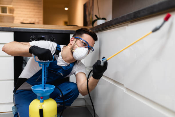 Best Wasp Removal Services  in Buena Vista, GA