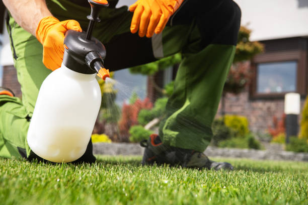 Best Flea Control Services  in Buena Vista, GA