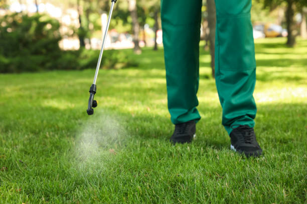 Flea Control Services in Buena Vista, GA