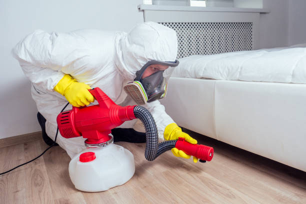 Best Termite Control Services  in Buena Vista, GA