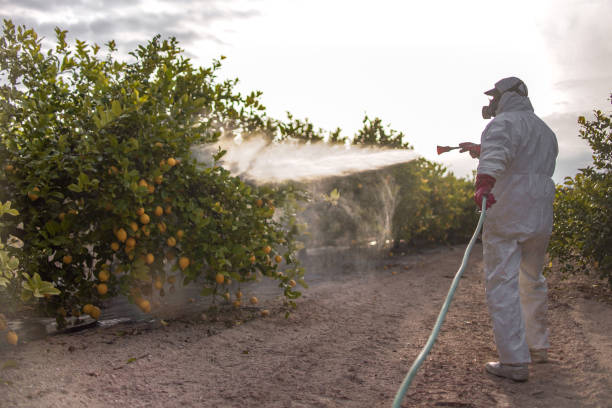 Trusted Buena Vista, GA Pest Control Experts