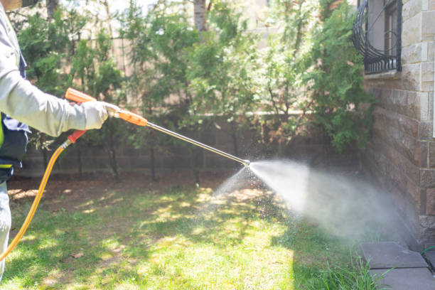 Best Pest Control Near Me  in Buena Vista, GA