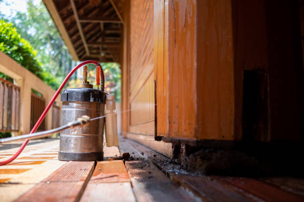Best Ant Control Services  in Buena Vista, GA
