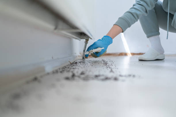 Pest Control for Restaurants in Buena Vista, GA