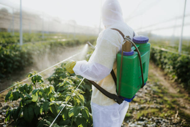 Best Commercial Pest Control Services  in Buena Vista, GA